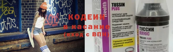 сатива Осинники