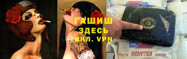 сатива Осинники