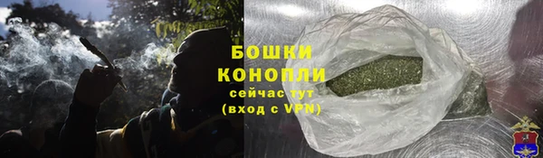 сатива Осинники
